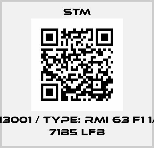 2104113001 / Type: RMI 63 F1 1/100 G 71B5 LFB Stm