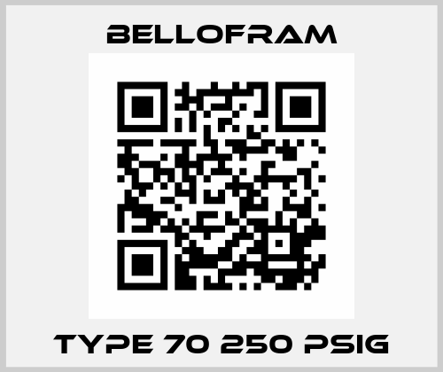 Type 70 250 PSIG Bellofram