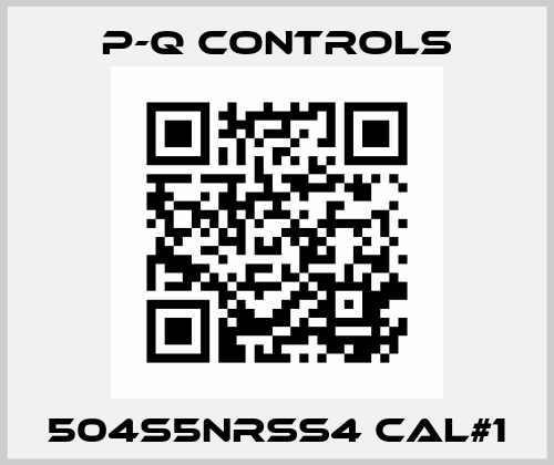 504S5NRSS4 CAL#1 P-Q Controls