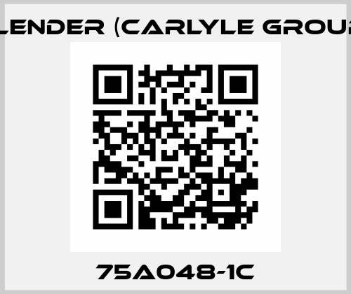 75A048-1C Flender (Carlyle Group)