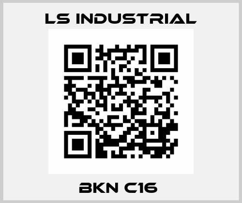 BKN C16  LS Industrial