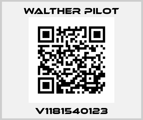 V1181540123 Walther Pilot