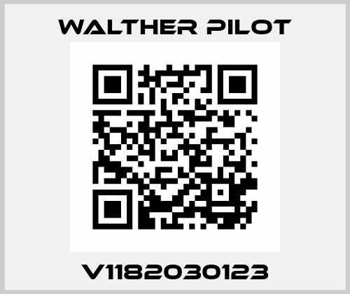 V1182030123 Walther Pilot