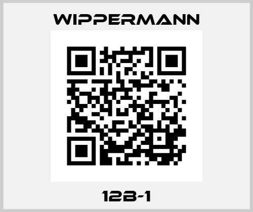 12B-1 Wippermann