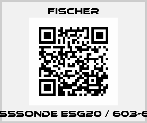 MESSSONDE ESG20 / 603-690 Fischer