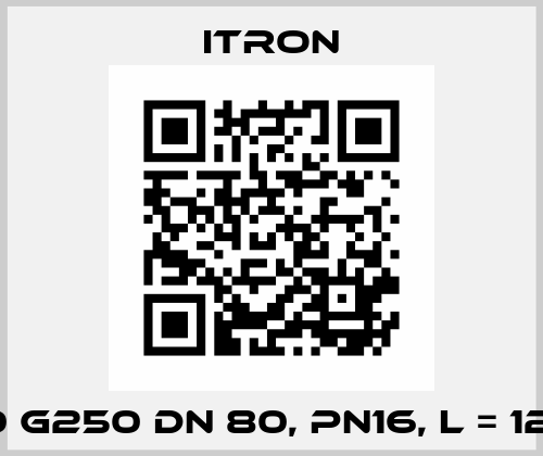 MZ 80 G250 DN 80, PN16, L = 120 mm Itron