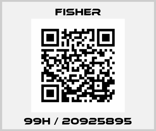 99H / 20925895 Fisher