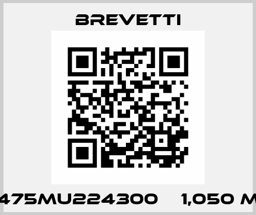 475MU224300    1,050 m Brevetti