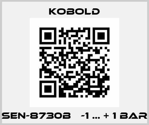 SEN-8730B   -1 ... + 1 bar Kobold