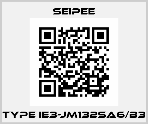 Type IE3-JM132Sa6/B3 SEIPEE