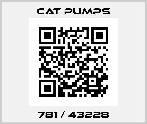 781 / 43228 Cat Pumps
