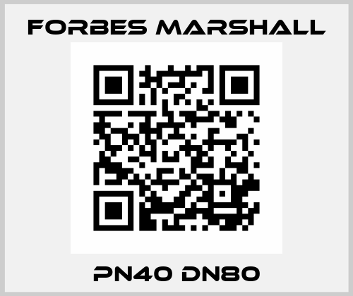 PN40 DN80 FORBES MARSHALL