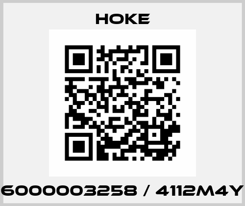 6000003258 / 4112M4Y Hoke