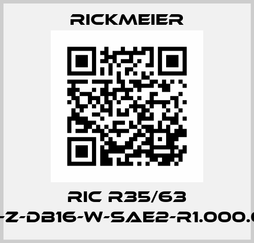 RIC R35/63 FL-Z-DB16-W-SAE2-R1.000.00 Rickmeier
