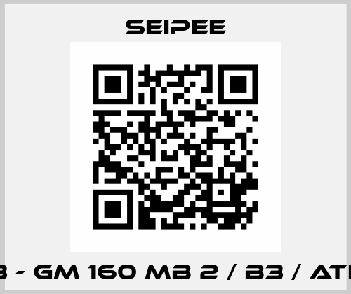 IE3 - GM 160 MB 2 / B3 / ATEX SEIPEE