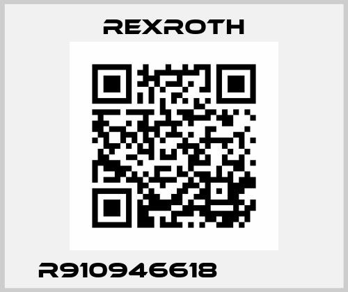 R910946618             Rexroth