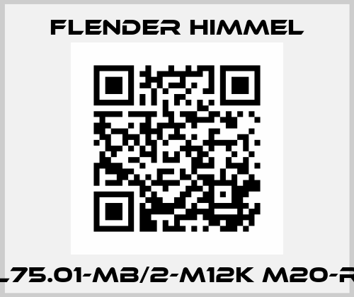 KL75.01-MB/2-M12K M20-RH Flender Himmel
