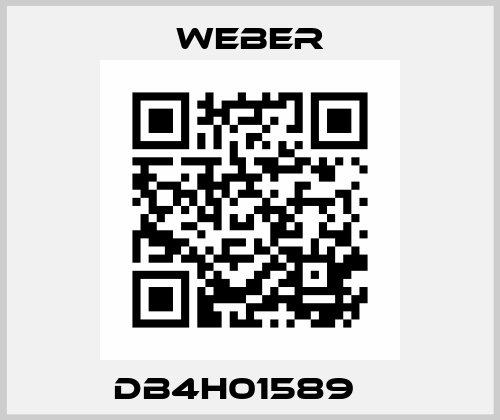DB4H01589    Weber