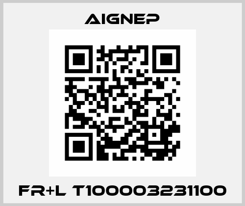 FR+L T100003231100 Aignep