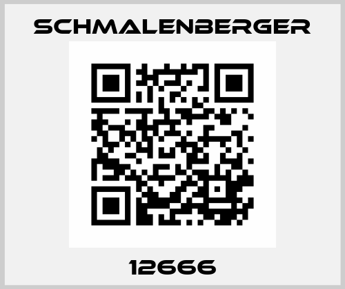 12666 Schmalenberger