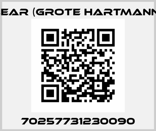 70257731230090 Lear (Grote Hartmann)