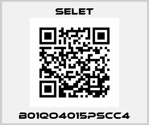 B01QO4015PSCC4 Selet