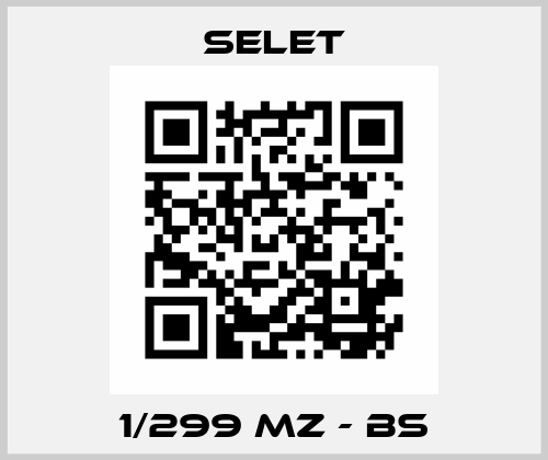 1/299 MZ - BS Selet