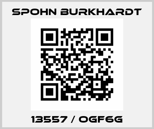 13557 / OGF6G Spohn Burkhardt