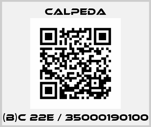 (B)C 22E / 35000190100 Calpeda