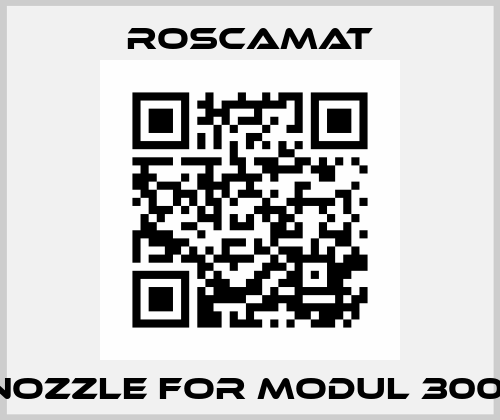 Nozzle for Modul 300  Roscamat
