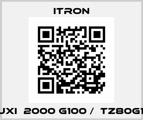 FLUXI  2000 G100 /  TZ80G100 Itron
