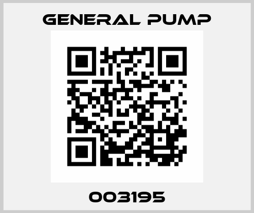 003195 General Pump