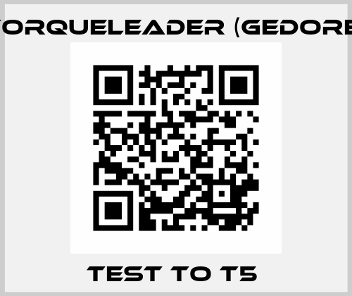 TEST TO T5  Torqueleader (Gedore)
