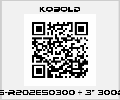 NWS-R202ES0300 + 3" 300# RF Kobold