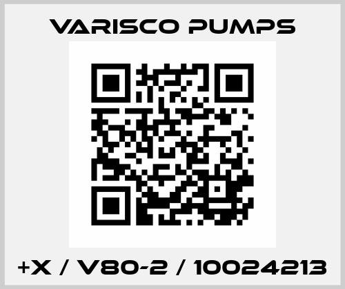+X / V80-2 / 10024213 Varisco pumps