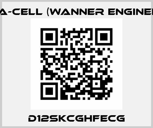 D12SKCGHFECG Hydra-Cell (Wanner Engineering)