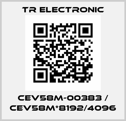CEV58M-00383 / CEV58M*8192/4096 TR Electronic