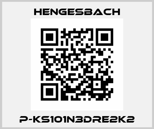 P-KS101N3DRe2K2 Hengesbach