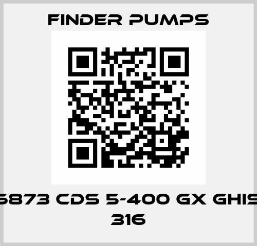 F-C006873 CDS 5-400 GX Ghisa/AISI 316 Finder Pumps