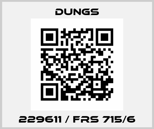 229611 / FRS 715/6 Dungs
