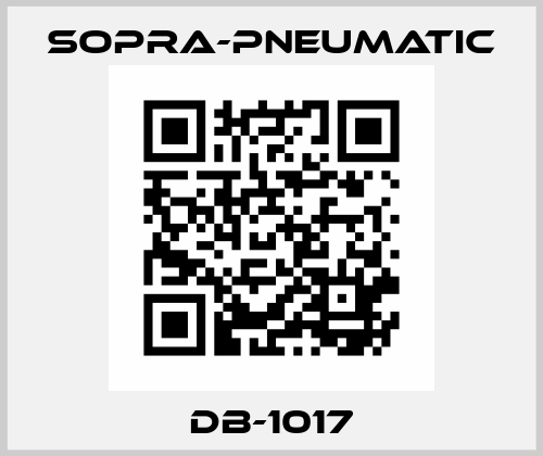 DB-1017 Sopra-Pneumatic