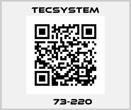 РТ 73-220 Tecsystem