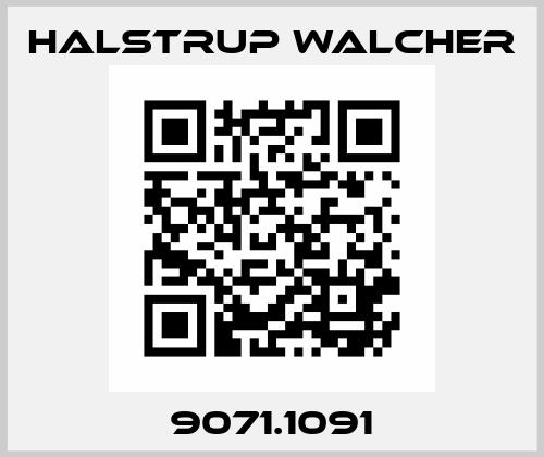 9071.1091 Halstrup Walcher