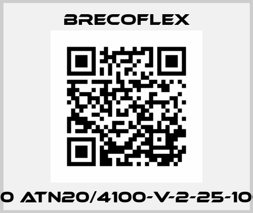50 ATN20/4100-V-2-25-100 Brecoflex