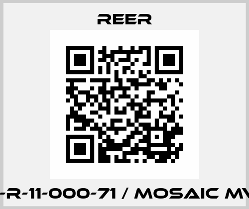 SP-R-11-000-71 / MOSAIC MV1H Reer