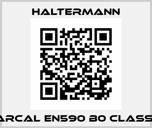 Carcal EN590 B0 Class 4 Haltermann