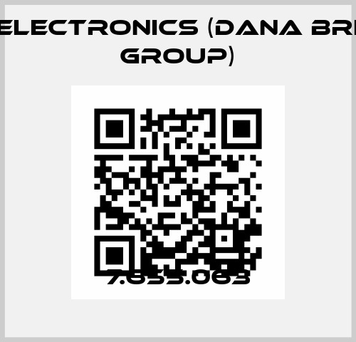 7.655.063 BPE Electronics (Dana Brevini Group)