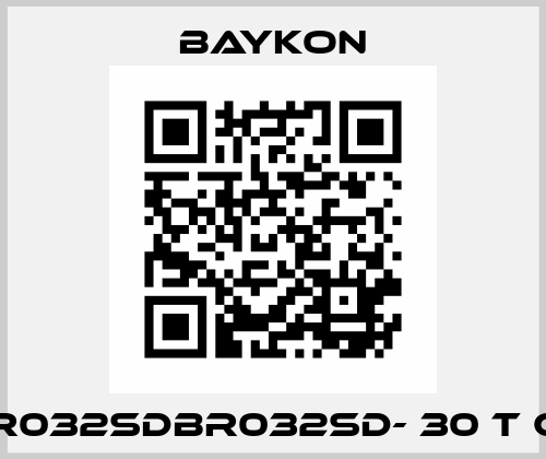 BR032SDBR032SD- 30 t C3 Baykon