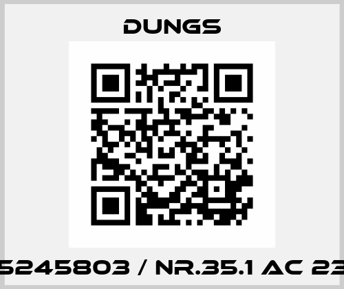 95245803 / Nr.35.1 AC 230 Dungs