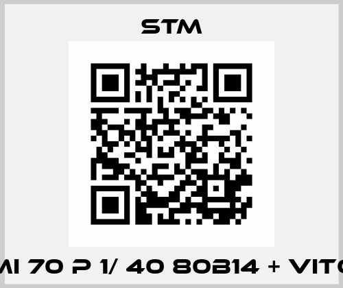 RMI 70 P 1/ 40 80B14 + VITON Stm